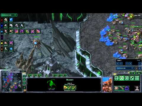 starcraft 2 swarm