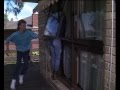 NACHBARN / NEIGHBOURS - DVD-Box 1 (Staffel 1) - Fernsehjuwelen DVD - Kylie Minogue, Jason Donovan(1 month ago)