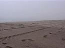 Marconi Beach 1