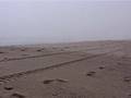 Marconi Beach 1
