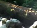 Gorge Movie 07