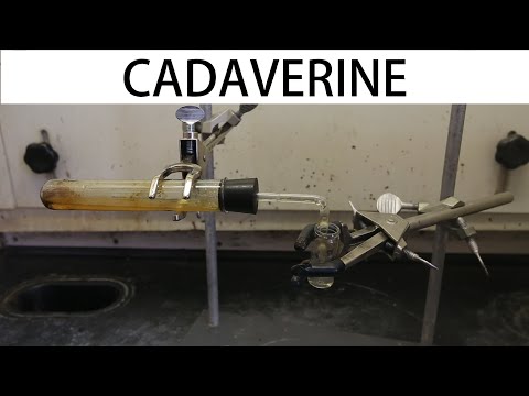 how to dissolve lysine