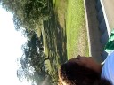 A day at the park