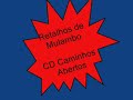 Retalhos de Mulambo.wmv