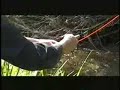 Small Stream Dry Fly Skating Small Stream Dry Fly Skating