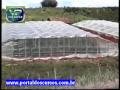 Curso de Como Construir Estufa para HORTI-FRUTICULTURA em DVD - www.portaldoscursos.com.br