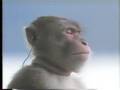 TVCM ソニー ウォークマン（1987）