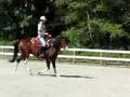 videos de Sarah & Misty @ Sunset Equestrian Park (Birch Bay, WA)