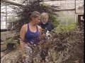 Restoration with Native Plants