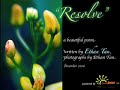 Resolve 2007