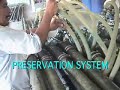 Bamboo Preservation Process-Preservación de bambú - Boucherie at BAMBUVER