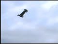 slough-bash.html