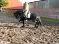 MovieClip 2407