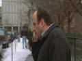 Sopranos - pine barrens.