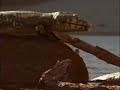 caminando entre monstruos: vida antes de los dinosaurios  4 