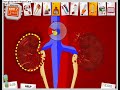 Amateur Surgeon - Eddie (File 2)