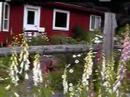 Kodiak Island Experience...ALASKA - YouTube