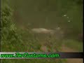 Subaru WRX STi Crash Subaru WRX STi Crash
