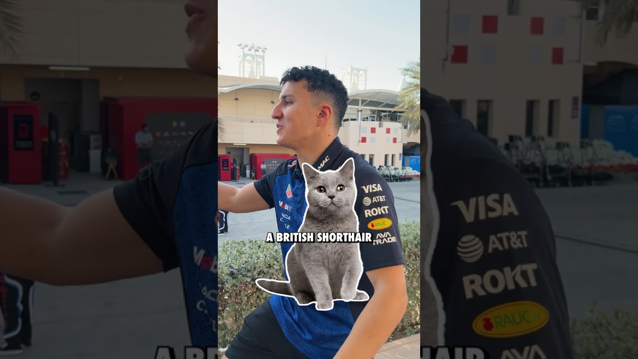 Racing driver 🤝 cat rescuer #F1 #RedBullRacing