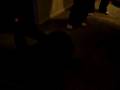 videos de kimmy rolling w the homies