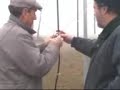 50MHZ MODIFICHE E PROVE ALLA CUBICA