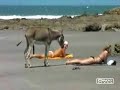 El miron de la playa el tuncoo el salvador