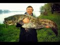 Herr Fisk - Havets l�ckerheter