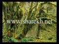 http://www.sharekh.net/القارئ أحمد بن يوسف الشارخ من السعودية - الدمام