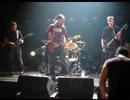 Rotten Guinea Pigs - I Wanna Be Your Dog Rotten Guinea Pigs - I Wanna Be Your Dog