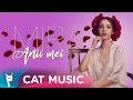 Anii mei (Official Video) 