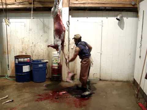 how to skin a deer
