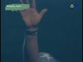 Paul Van Dyk Feat. Rea Garvey - Let Go (Alex M.O.R.P.H B2B W
