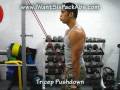 getting rid of belly fat, belly fat reduction, best exercise to lose belly fat, belly fat on women, how do i burn belly fat, what foods cause belly fat, foods that burn belly fat, buy, order