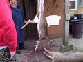 Deer processing at Kelsey Meat Cutting, Boonville, NY