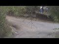 [Eliseo Salazar] Rally Mobil 2009, Pucon Codasur