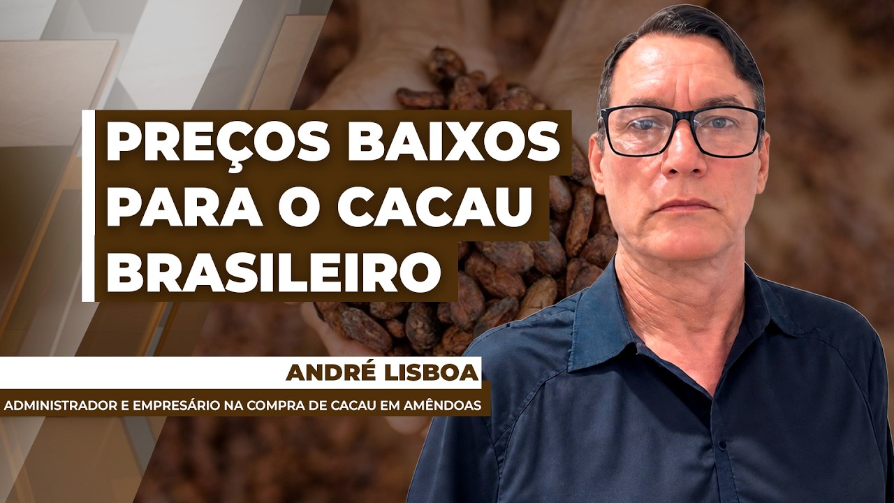 MERCADO DO CACAU - EDIÇÃO 11-06-2026