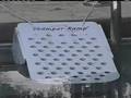 Rampe de sortie piscine pour animaux domestiques