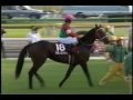 2007.11.4　アルゼンチン共和国杯　アドマイヤジュピタ