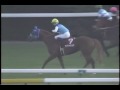 2007.11.4　アルゼンチン共和国杯　アドマイヤジュピタ