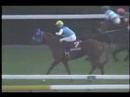 2007.11.4　アルゼンチン共和国杯　アドマイヤジュピタ