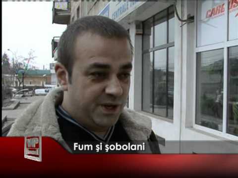 Fum şi şobolani
