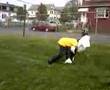 Messed up spear
