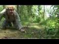 Croc Hunter