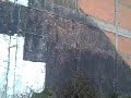 PAINT GRAFFITI ALL CREW MEGATOP ROLLER NBC