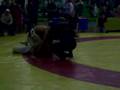 Gatuno MMA 1