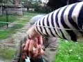T�d�d�d�d��dd�d�d�dd��d����������...