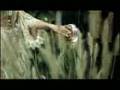 videos de Love Story - Taylor Swift [x] Lyrics In Description [x]