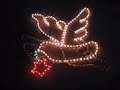 7M CHRISTMAS LIGHTING ROPE LIGHT DOVE