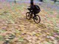 Bastejkalna drops