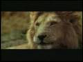 National Geographic Gazelle